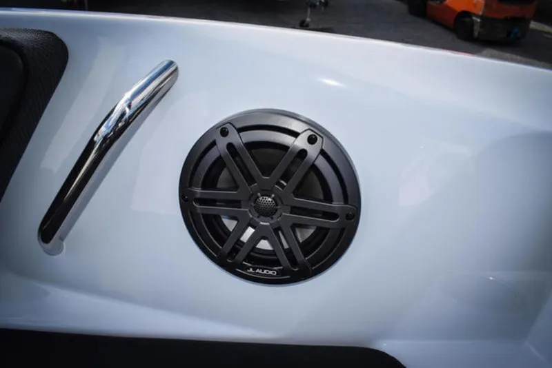 Slide: The Image of Scarab 195 ID 2024 - 13