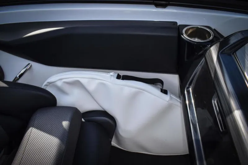 Slide: The Image of Scarab 195 ID 2024 - 14