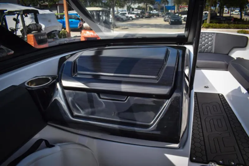 Slide: The Image of Scarab 195 ID 2024 - 16