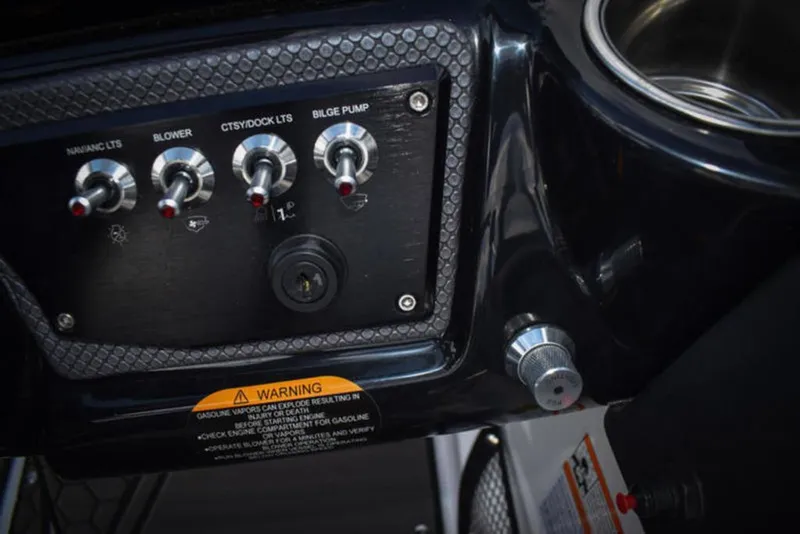 Slide: The Image of Scarab 195 ID 2024 - 17