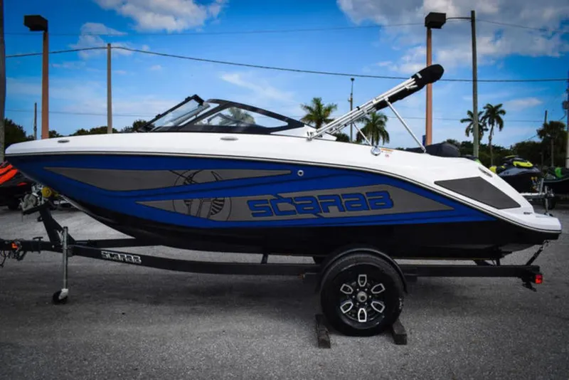 Slide: The Image of Scarab 195 ID 2024 - 2