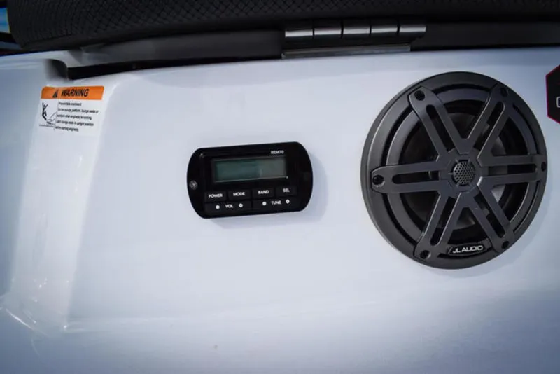 Slide: The Image of Scarab 195 ID 2024 - 21