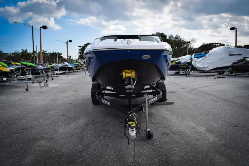 Slide: The Image of Scarab 195 ID 2024 - 3