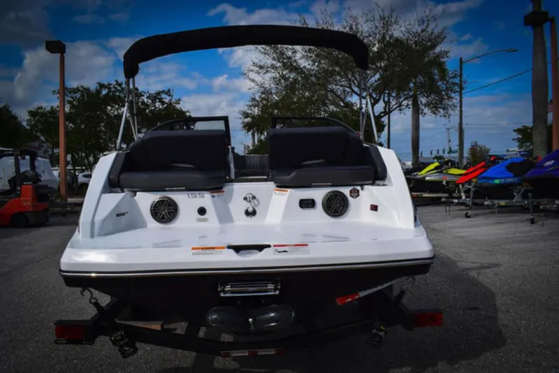 Slide: The Image of Scarab 195 ID 2024 - 4