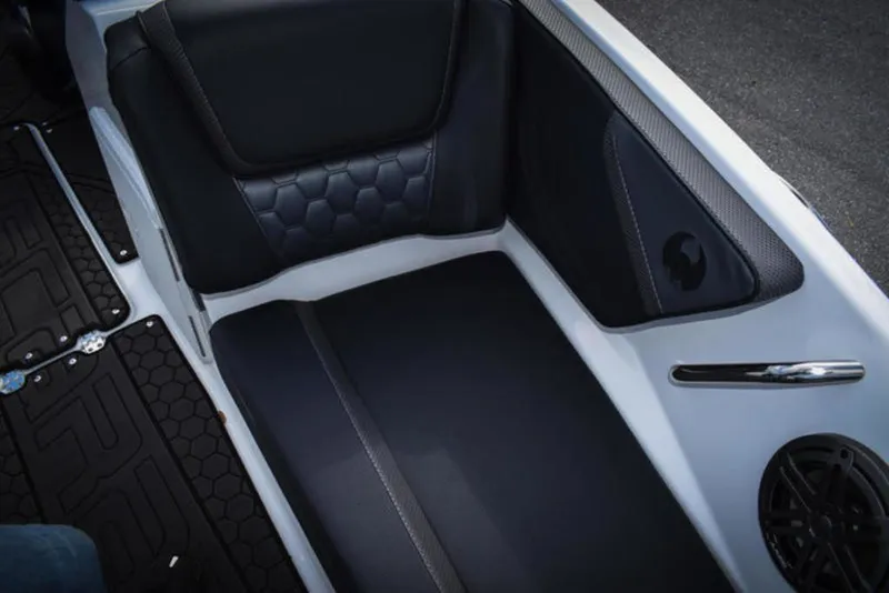 Slide: The Image of Scarab 195 ID 2024 - 7