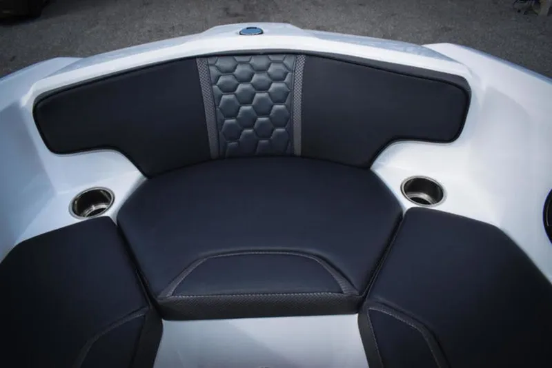 Slide: The Image of Scarab 195 ID 2024 - 8