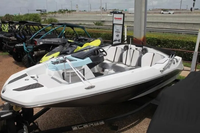 Slide: The Image of Scarab SBI165 SCARAB IDENTITY 2021 - 7