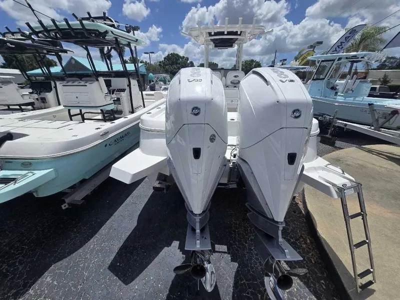 Slide: The Image of Caymas 291 HB 2026 - 6