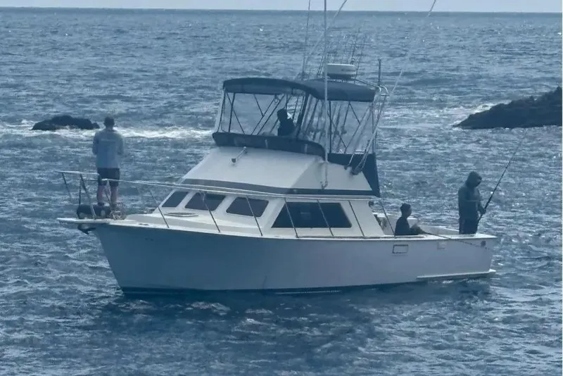 Slide: The Image of 1996 Blackman Sportfisher 32 boat with people fishing in open sea. - 5