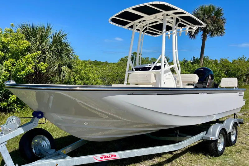 The Image of 2026 Boston Whaler 190 Montauk boat on trailer, surrounded by palm trees. - 1