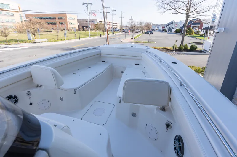 Slide: The Image of Grady-White Canyon 306 2019 - 4