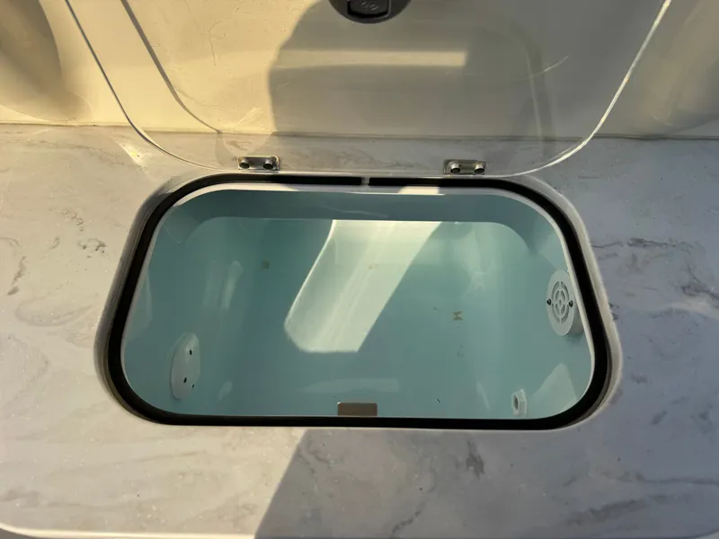 Slide: The Image of Scout 281 xss Carbon 2024 - 24