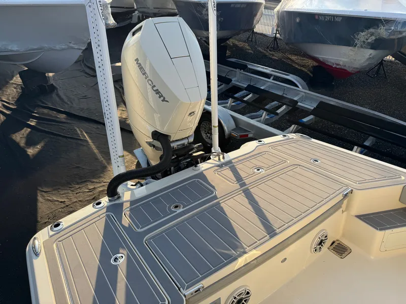 Slide: The Image of Scout 281 xss Carbon 2024 - 25