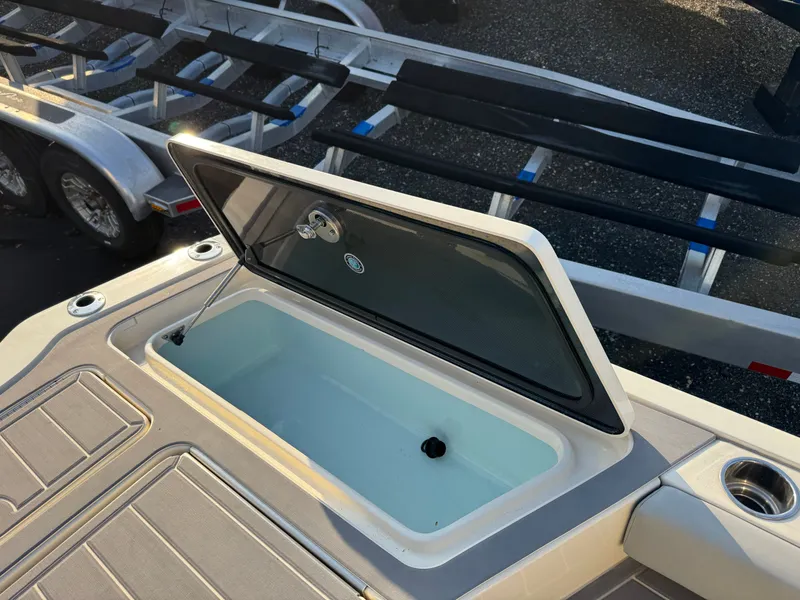 Slide: The Image of Scout 281 xss Carbon 2024 - 27