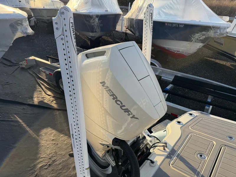 Slide: The Image of Scout 281 xss Carbon 2024 - 34