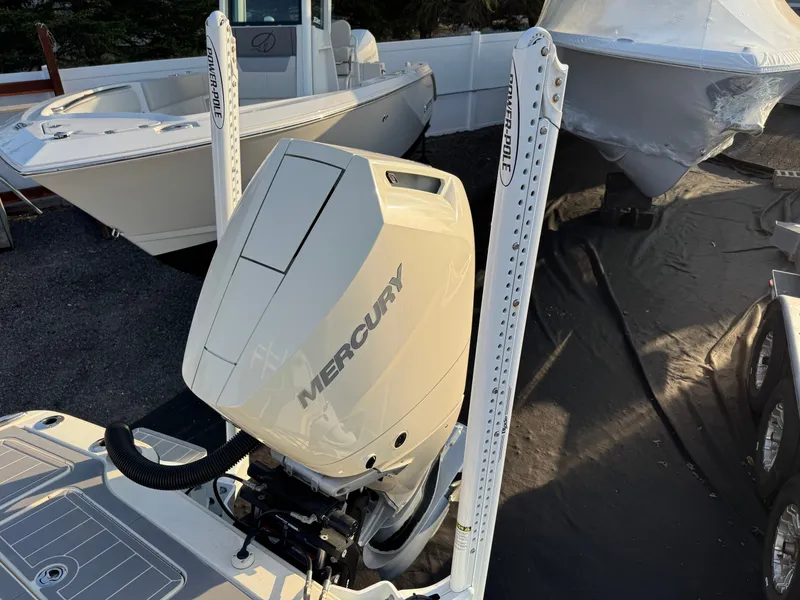 Slide: The Image of Scout 281 xss Carbon 2024 - 35