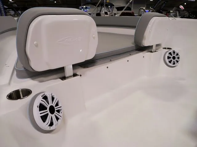 Slide: The Image of ALK2 22CRS 2026 - 17