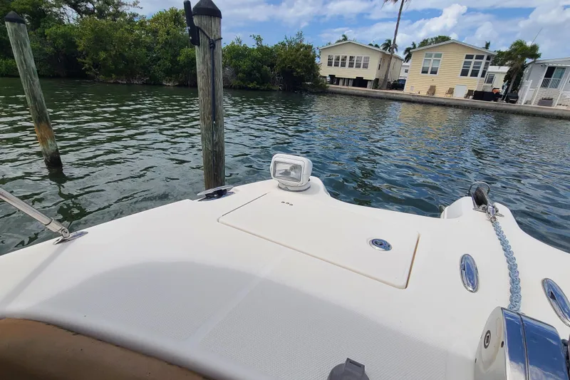 Slide: The Image of Bow of 2010 World Cat 290 DC boat near waterfront homes and lush greenery. - 6