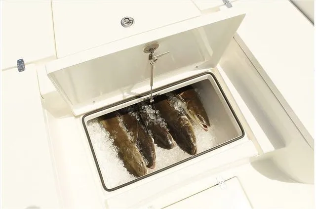 Slide: The Image of Pathfinder 2600 HPS 2023 - 7