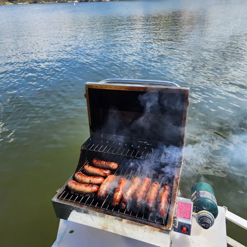 Slide: The Image of Grill with sausages on a 2015 Lowe SS210 boat. - 14
