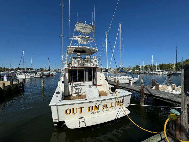 Slide: The Image of 1986 Bertram 54 Convertible docked in Ocean City, NJ. - 15