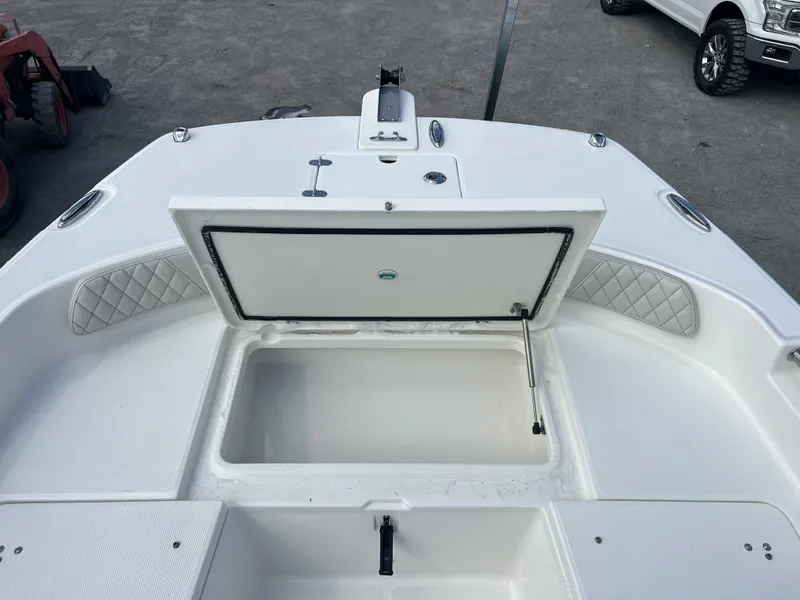 Slide: The Image of World Cat 235 CC 2026 - 11