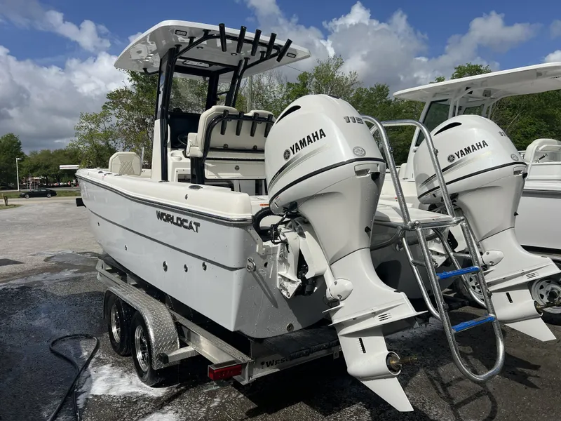 Slide: The Image of World Cat 235 CC 2026 - 14