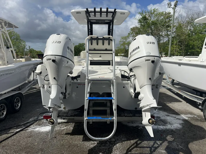 Slide: The Image of World Cat 235 CC 2026 - 3