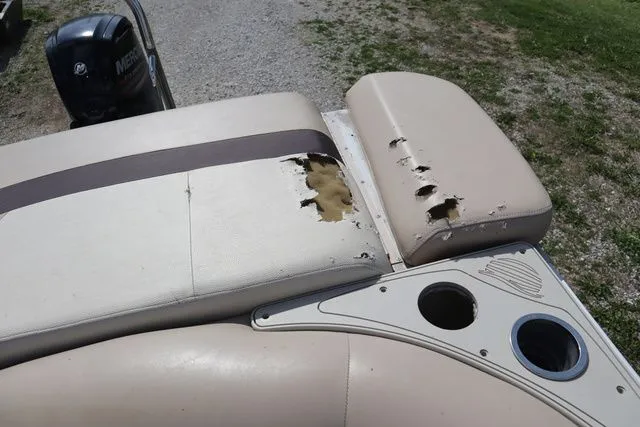 Slide: The Image of Sun Tracker Party Barge 20 DLX 2015 - 20