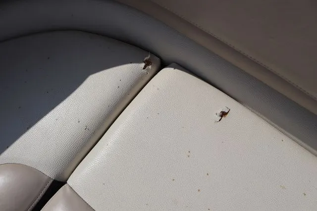 Slide: The Image of Sun Tracker Party Barge 20 DLX 2015 - 22