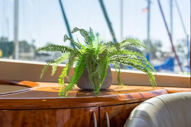 Slide: The Image of Potted fern on polished wood interior of 2007 Lazzara 68 yacht. - 26