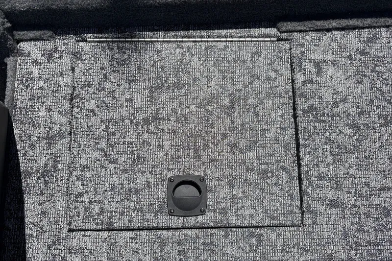 Slide: The Image of Carpeted storage compartment on 2026 Tracker Pro Team 195 boat deck. - 43