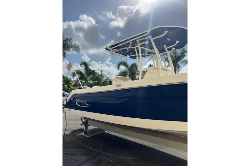 The Image of 2020 Robalo R242 Explorer boat with blue hull, parked under a sunny sky with palm trees. - 0