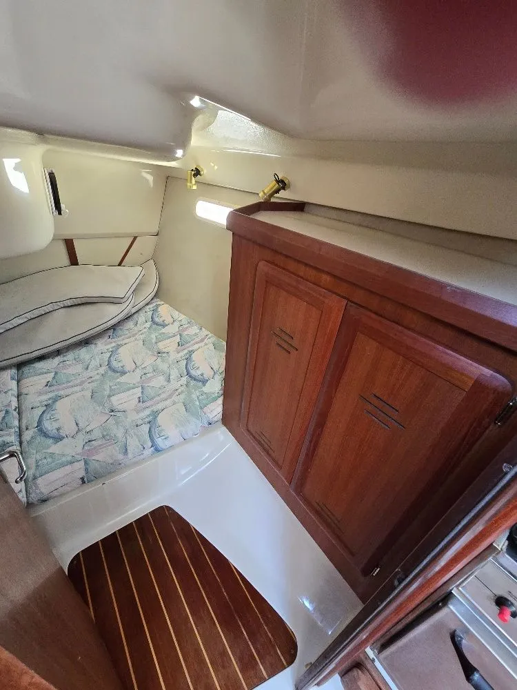 Slide: The Image of Hunter 336 1995 - 6