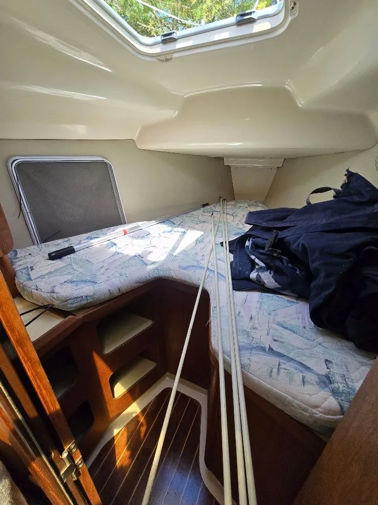 Slide: The Image of Hunter 336 1995 - 9