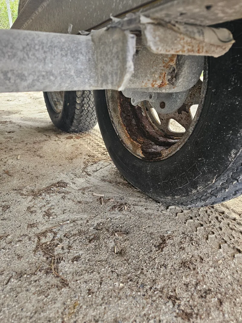 Slide: The Image of Dorado 23 2000 - 65