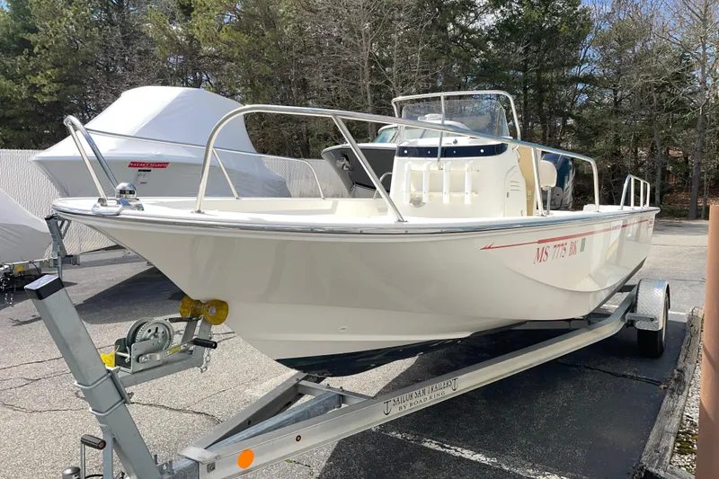 The Image of 2019 Boston Whaler 190 Montauk boat on trailer, parked outdoors. - 0