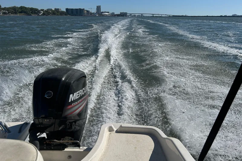 Slide: The Image of 2018 Bayliner Element F16 boat cruising with Mercury outboard motor on open water. - 22