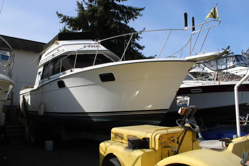 Slide: The Image of 1985 Carver 32 Convertible boat docked, surrounded by other vessels and equipment. - 31
