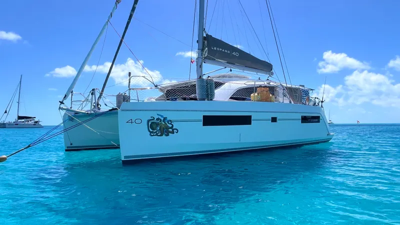 The Image of Leopard 40 2019 - undefined