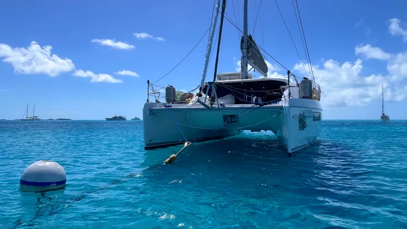 Slide: The Image of Leopard 40 2019 - 10