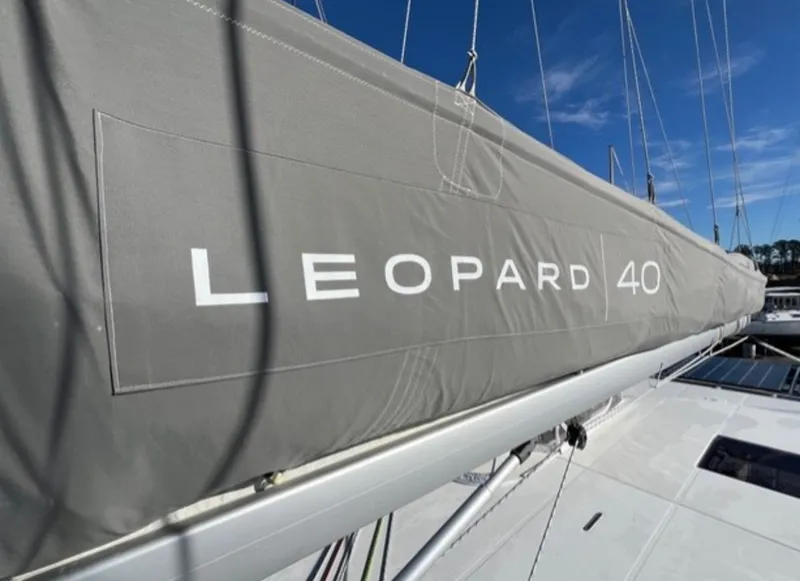 Slide: The Image of Leopard 40 2019 - 11