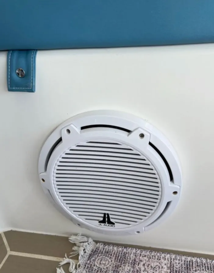 Slide: The Image of Leopard 40 2019 - 13