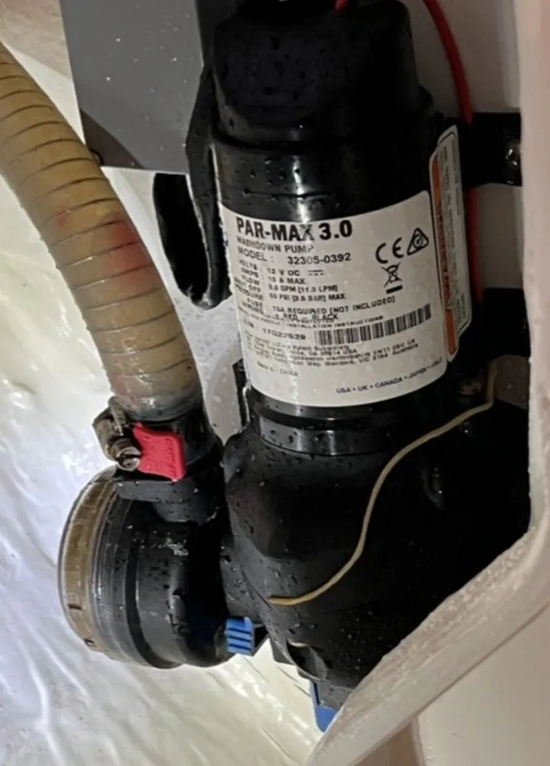 Slide: The Image of Leopard 40 2019 - 27