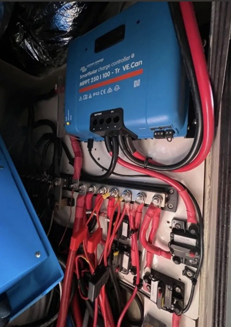 Slide: The Image of Leopard 40 2019 - 29