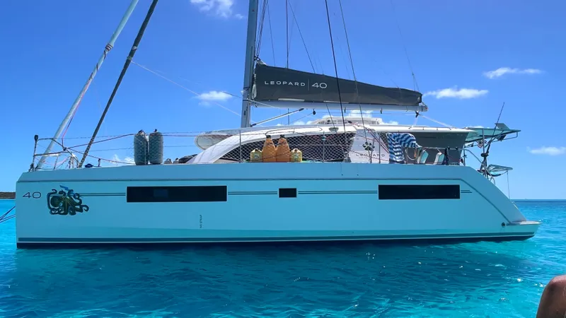 Slide: The Image of Leopard 40 2019 - 3