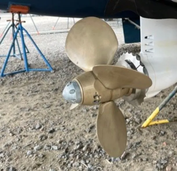 Slide: The Image of Leopard 40 2019 - 30