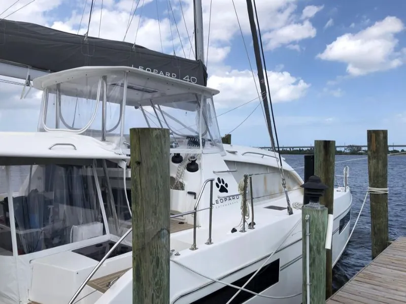 Slide: The Image of Leopard 40 2019 - 32