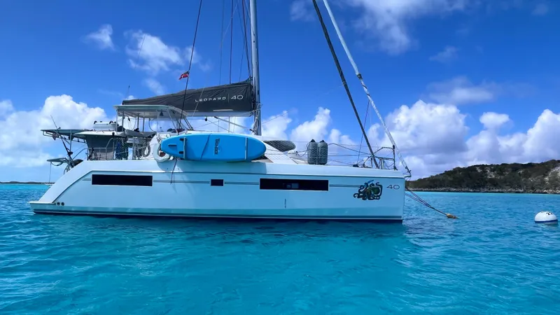 Slide: The Image of Leopard 40 2019 - 4