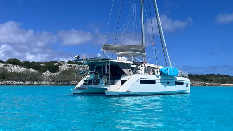 Slide: The Image of Leopard 40 2019 - 5